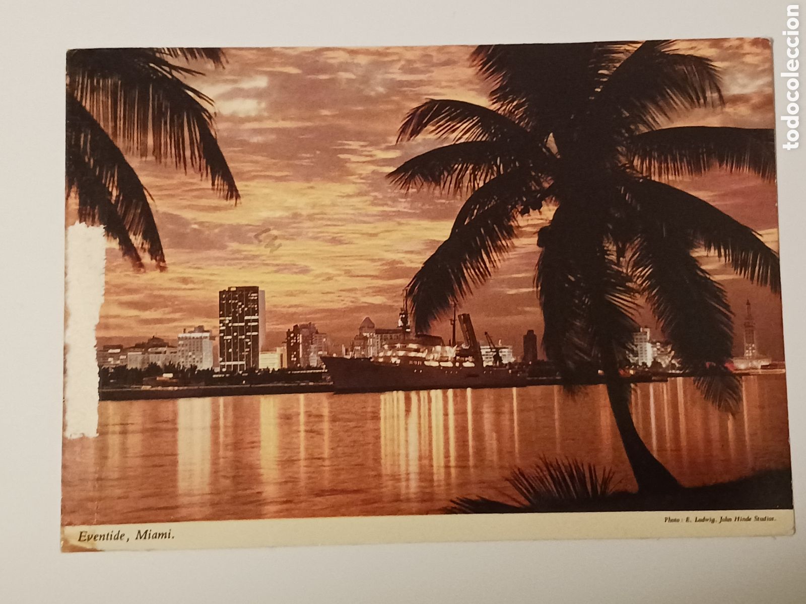 Postales: Miami, Circulada. - Foto 1