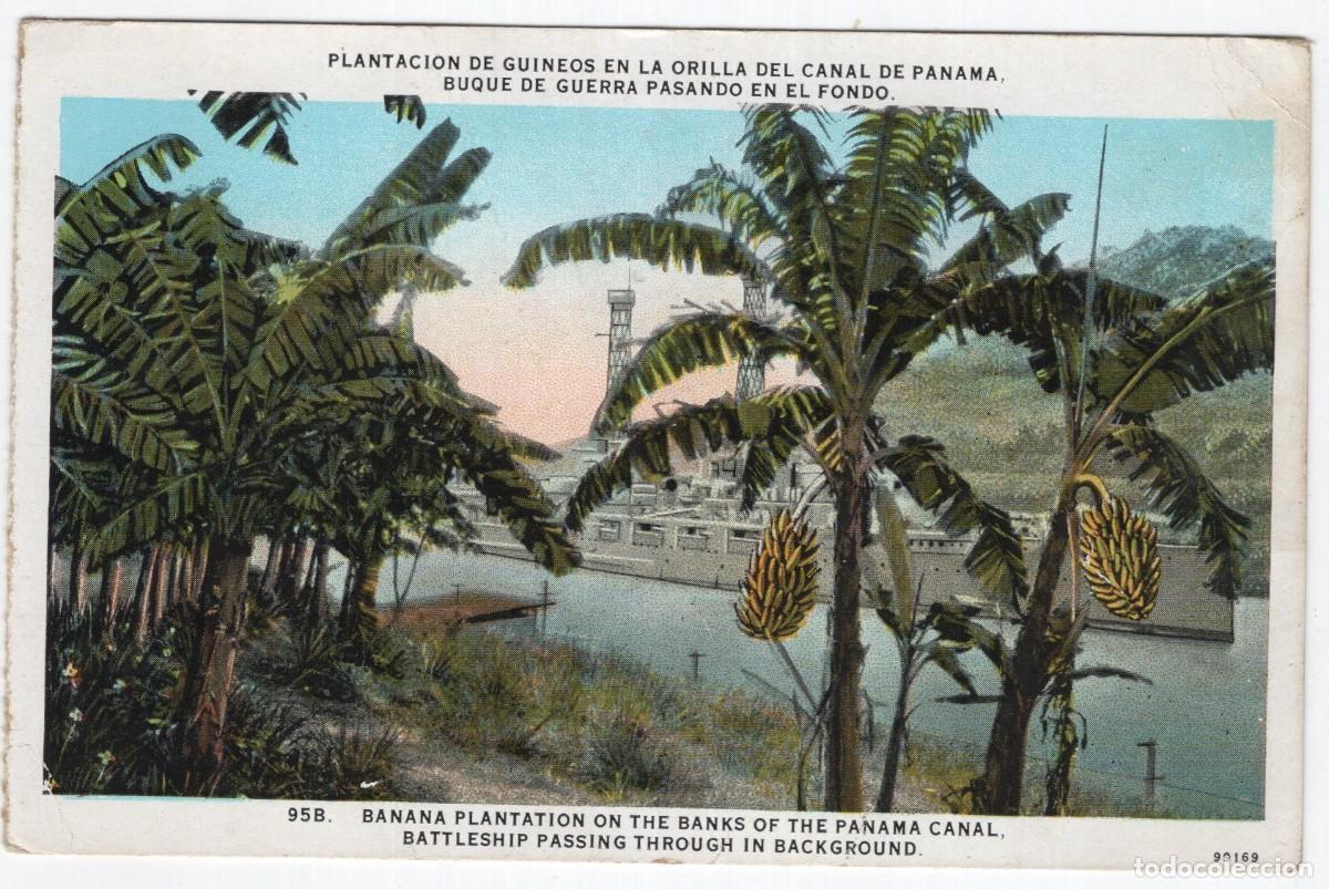 Cartoline: CANAL DE PANAMA. PLANTACI&Oacute;N DE GUINEOS