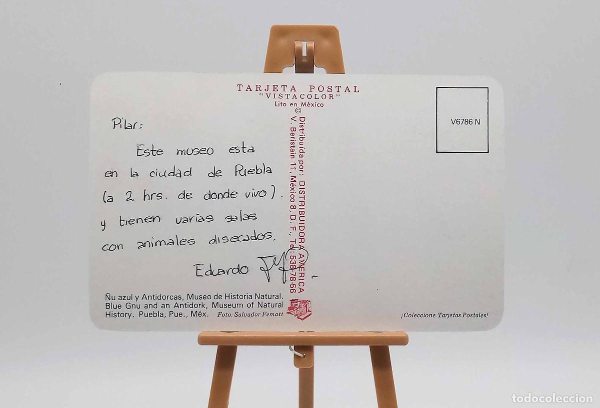 Postales: Postal 6786 - Puebla (M&eacute;xico) - Foto 2