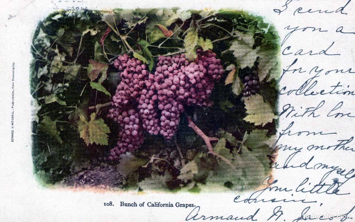 Cartes Postales: ESTADOS UNIDOS. TARJETA POSTAL CIRCULADA A FRANCIA. A&Ntilde;O 1904.