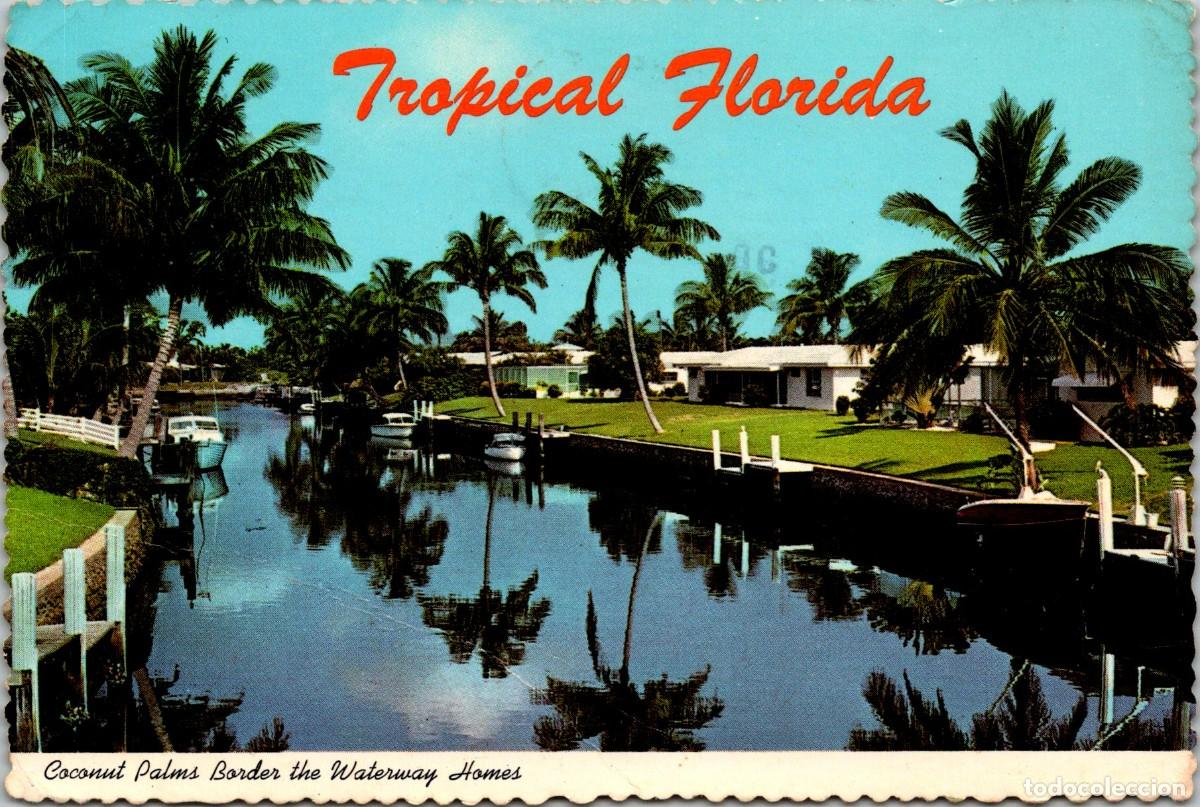 Postcards: EEUU - Tropical Florida - Coconut Palms Border the Waterway Homes - Circulada 1977 - 153x103mm