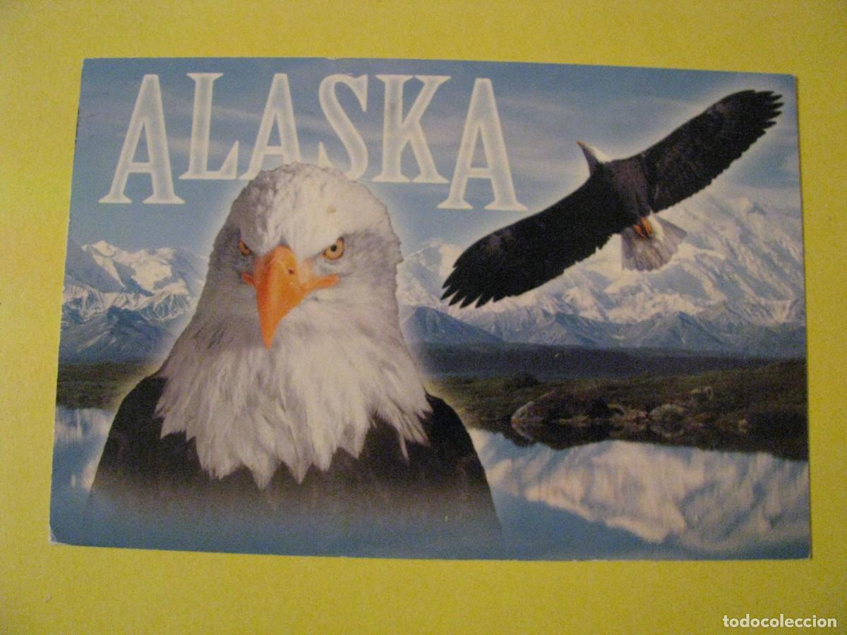 Postales: POSTAL DE EE.UU. ALASKA.
