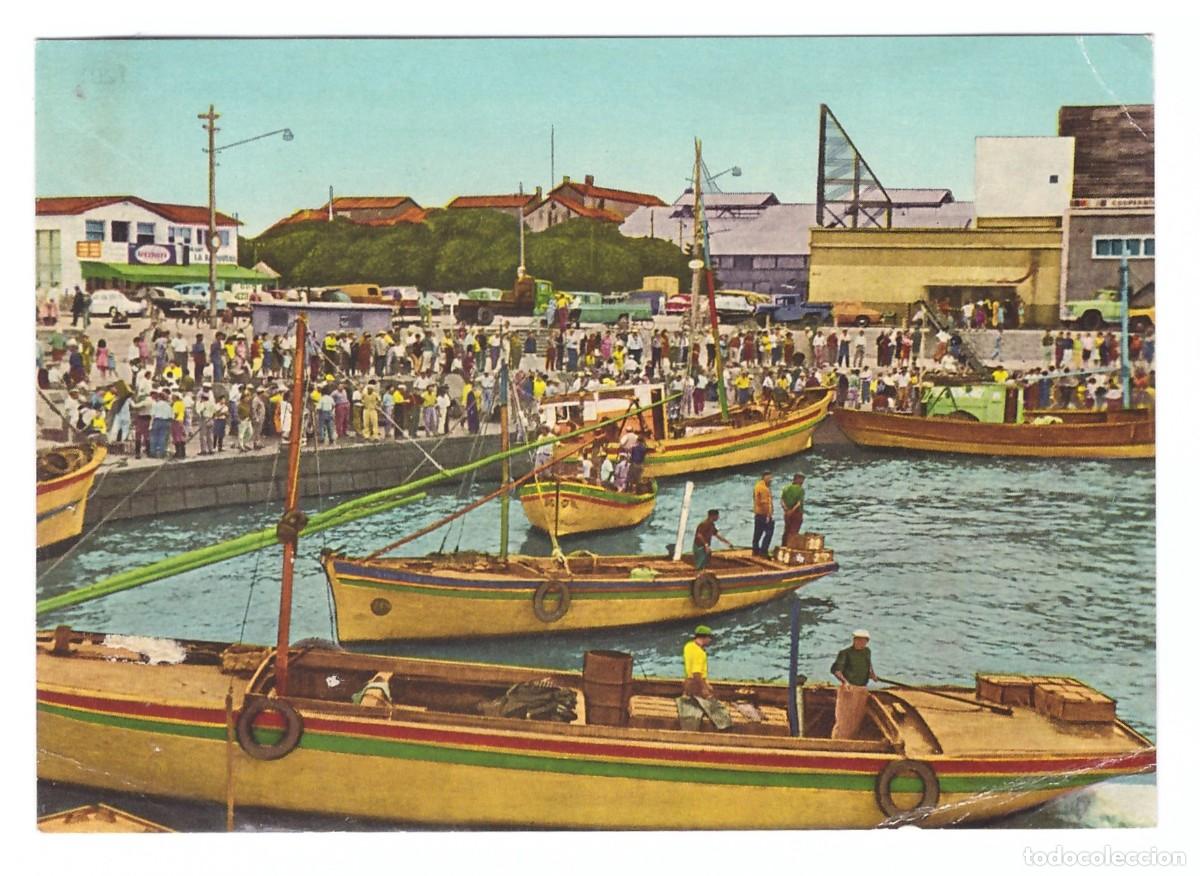 Postkarten: MAR DEL PLATA (ARGENTINA) &bull; PUERTO &bull; DARSENA DE PESCADORES