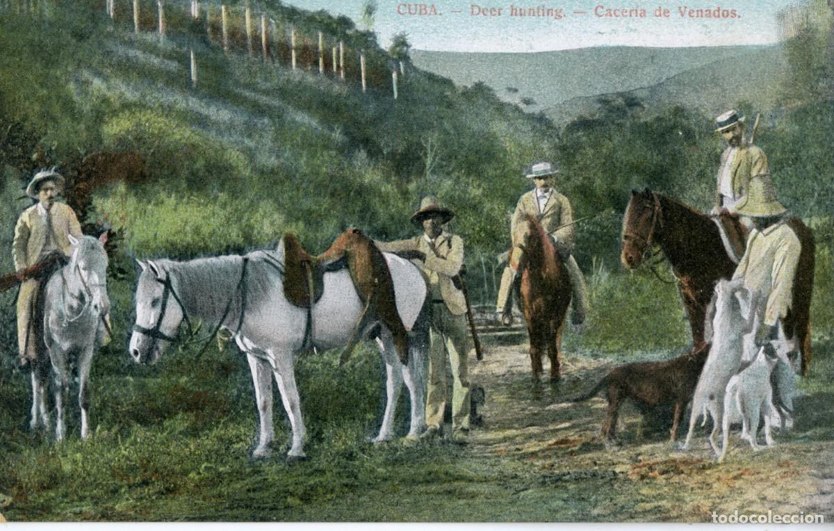 Postcards: CUBA ANTIGUA POSTAL - DEER HUNTING - CACER&Iacute;A DE VENADOS