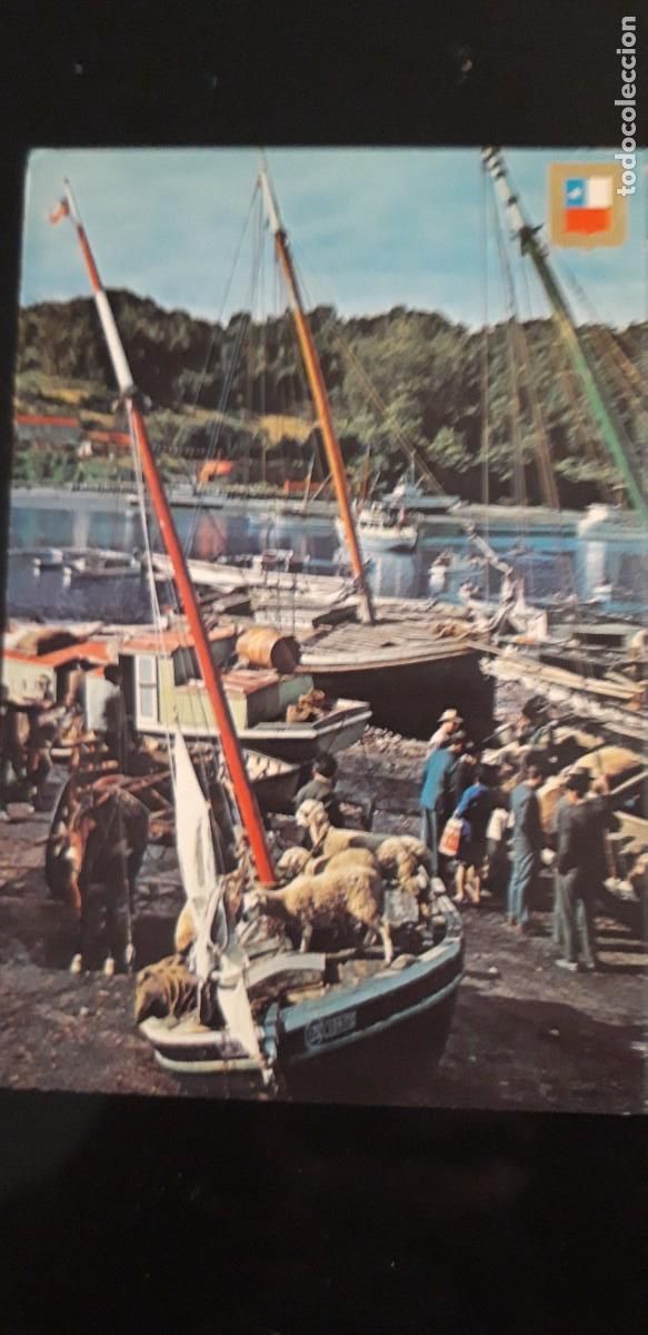 Postcards: 1 POSTAL DE ** PUERTO DE MONTT DE ANGELMO .CHILE **- VILLAGE SIN USAR