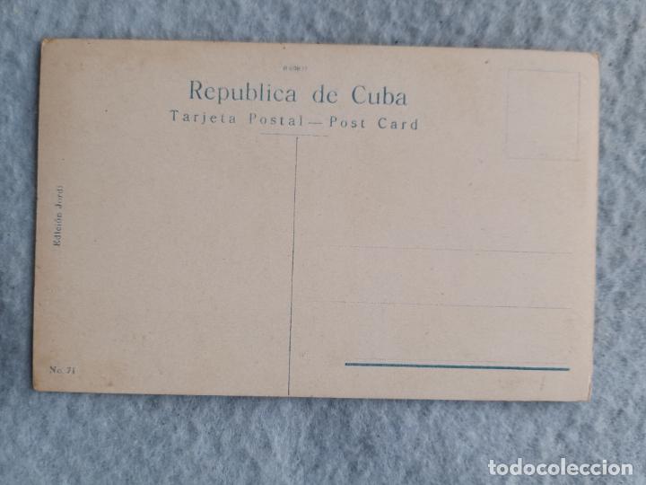 Postales: Cuba. Trepando a una Palma - Foto 2
