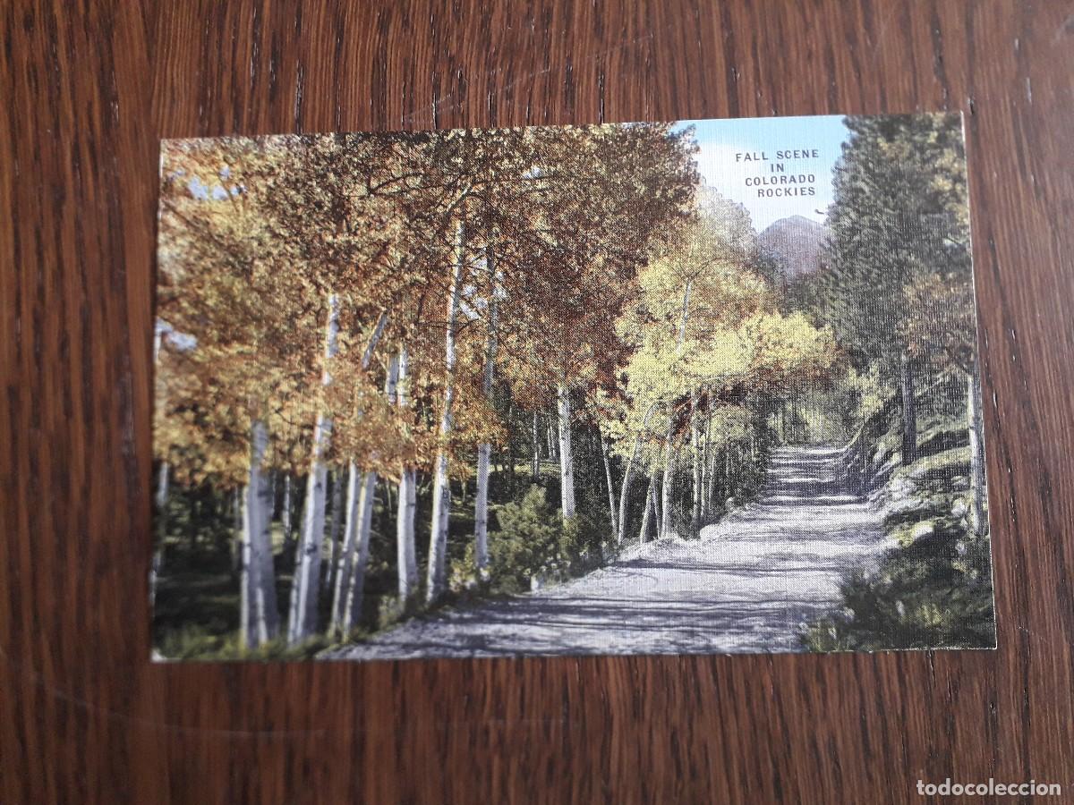 Postais: postal de Estados Unidos, Fall scene in Colorado Rockies.