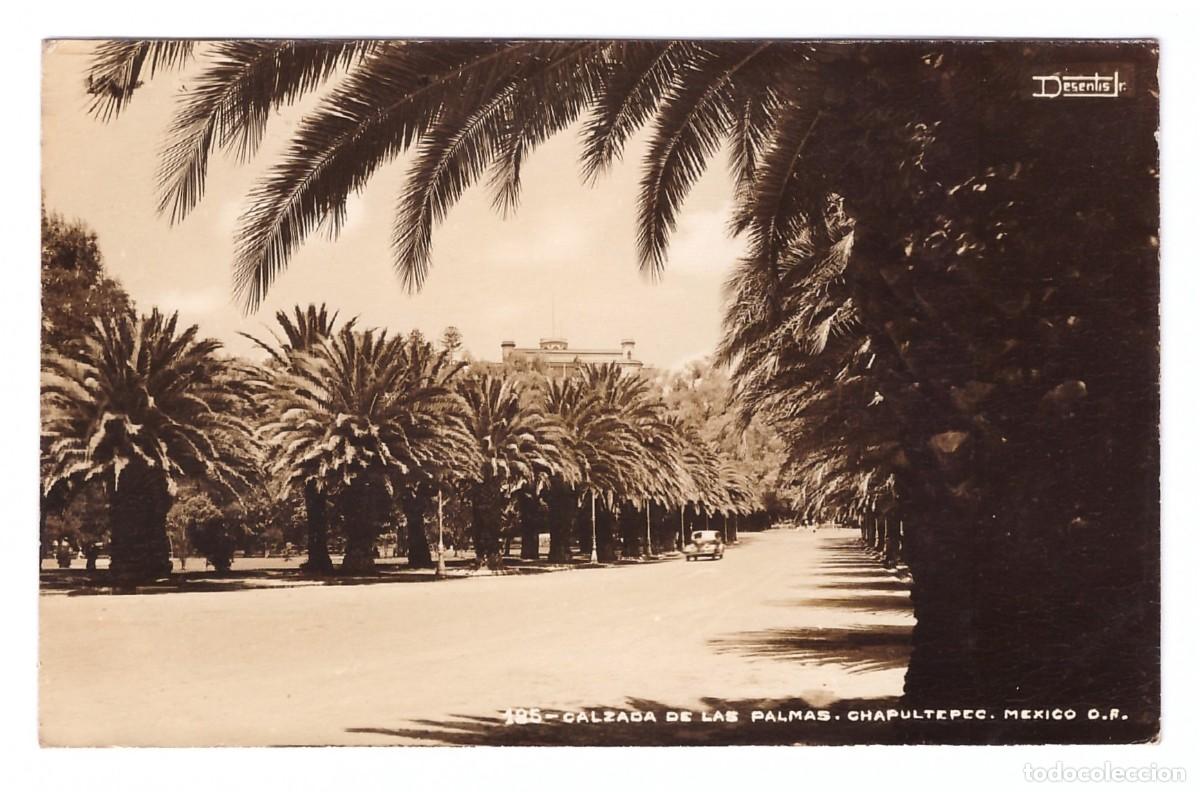 Postkarten: M&Eacute;XICO D.F. (M&Eacute;XICO) &bull; CHAPULTEPEC &bull; CALZADA DE LAS PALMAS