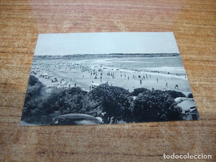 Postais: POSTAL NUEVA REPUBLICA ARGENTINA PLAYA PUNTA MOGOTES N&ordm; 536