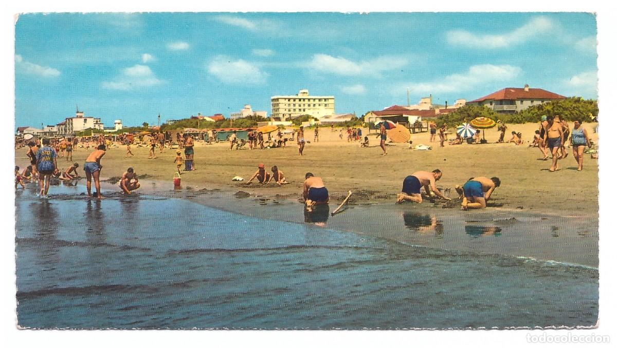 Postales: MAR DE AJ&Oacute; (ARGENTINA) &bull; SACANDO ALMEJAS