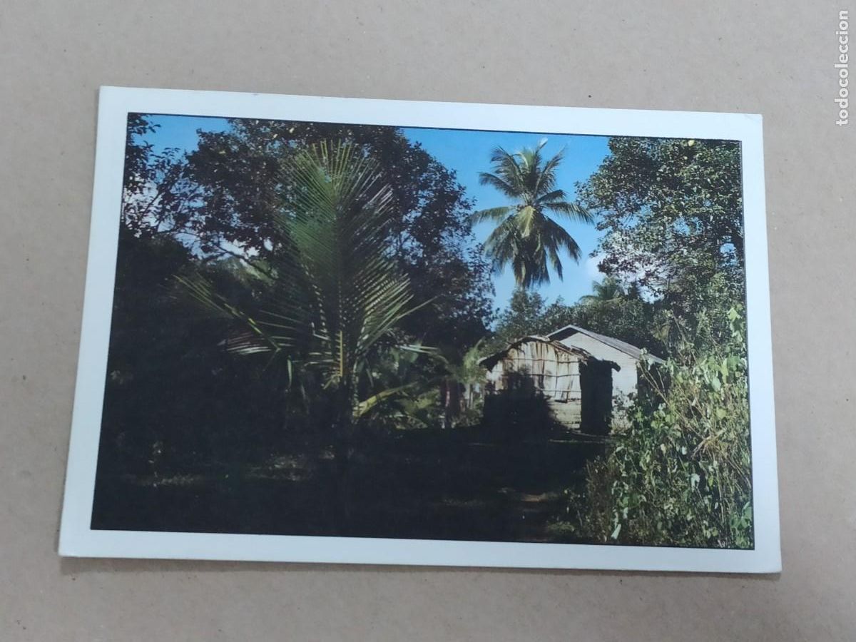 Postkarten: SAMAN&Aacute; REPUBLICA DOMINICANA - EL LIMON - CIRCULADA