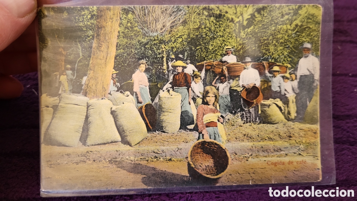 Cartoline: Tarjeta Postal Puerto Rico