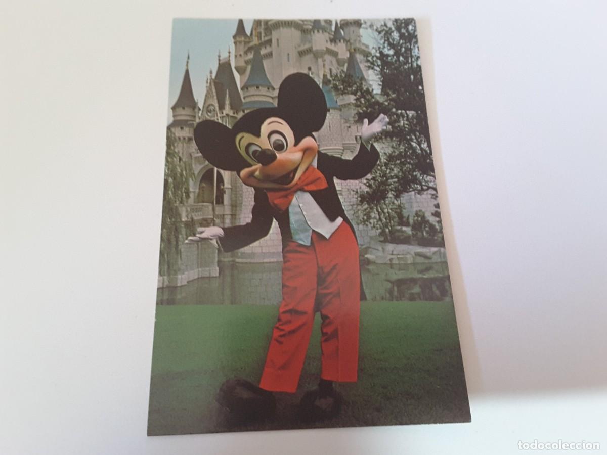 Postais: Postal Disney World
