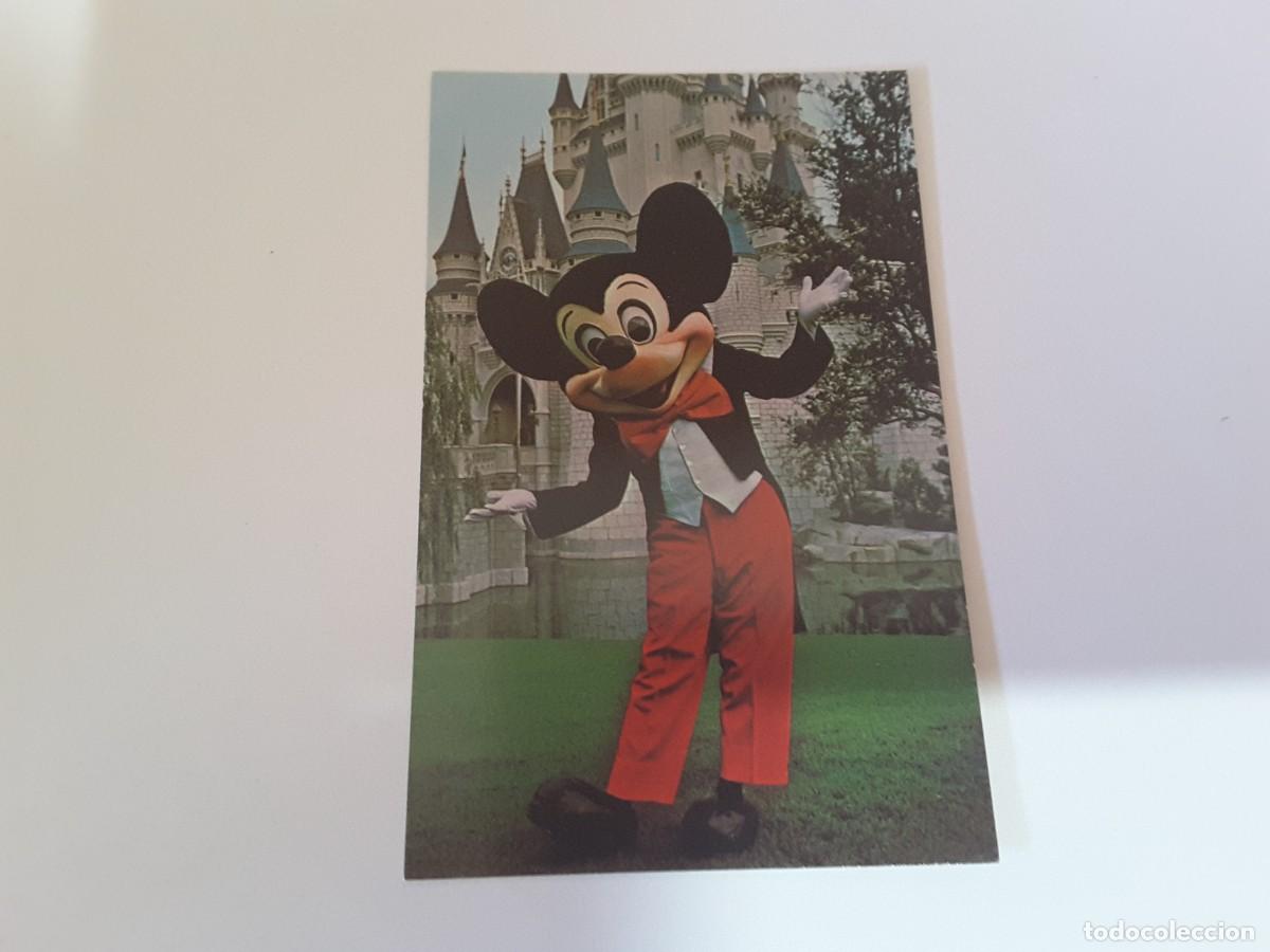Postais: Postal Disney World