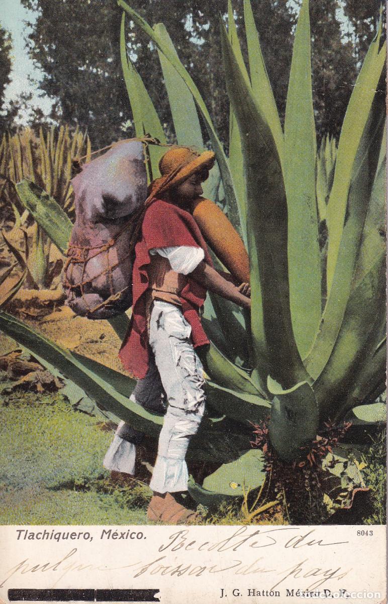 Postales: MEXICO TLACHIQUERO