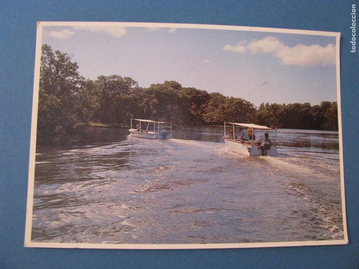 Postkarten: POSTAL DE VENEZUELA. LAGUNA LA RESTINGA. ISLA MARGARITA. ED. ASCONA.