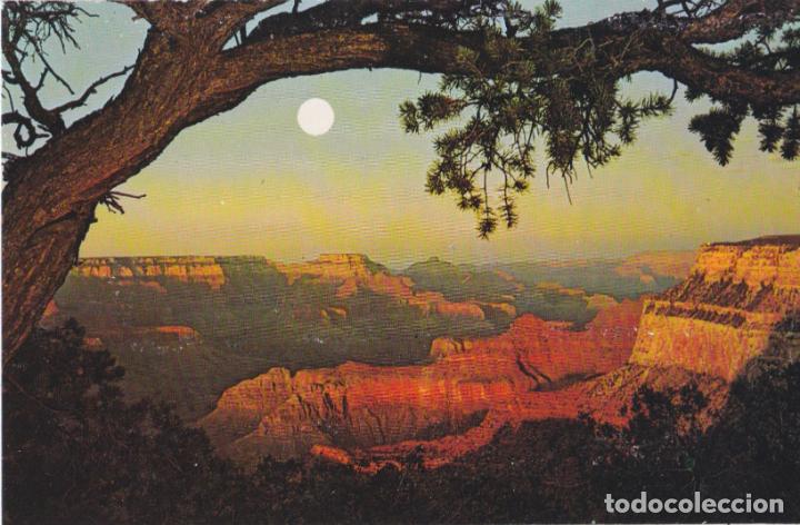 Postkarten: E.U.A. ARIZONA, GRAND CANYON NATIONAL PARK - PLASTICHROME P59726 &ndash; S/C