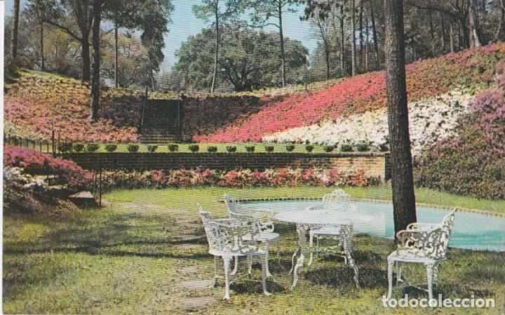 Postkarten: E.U.A. ALABAMA, LONG GARDENS &ndash; PLASTICHROME P39662 &ndash; S/C &ndash; (9X14)