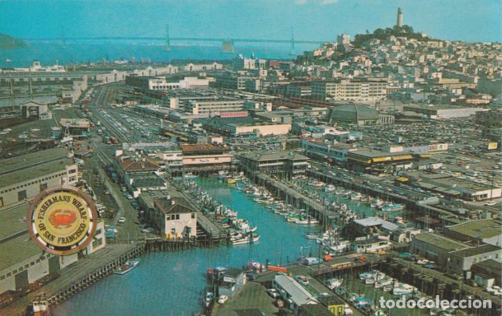 Postcards: E.U.A. CALIFORNIA, SAN FRANCISCO, FISHERMAN'S WHARF,- MUIR WOODS C17938 127 &ndash; S/C &ndash; (9X14)