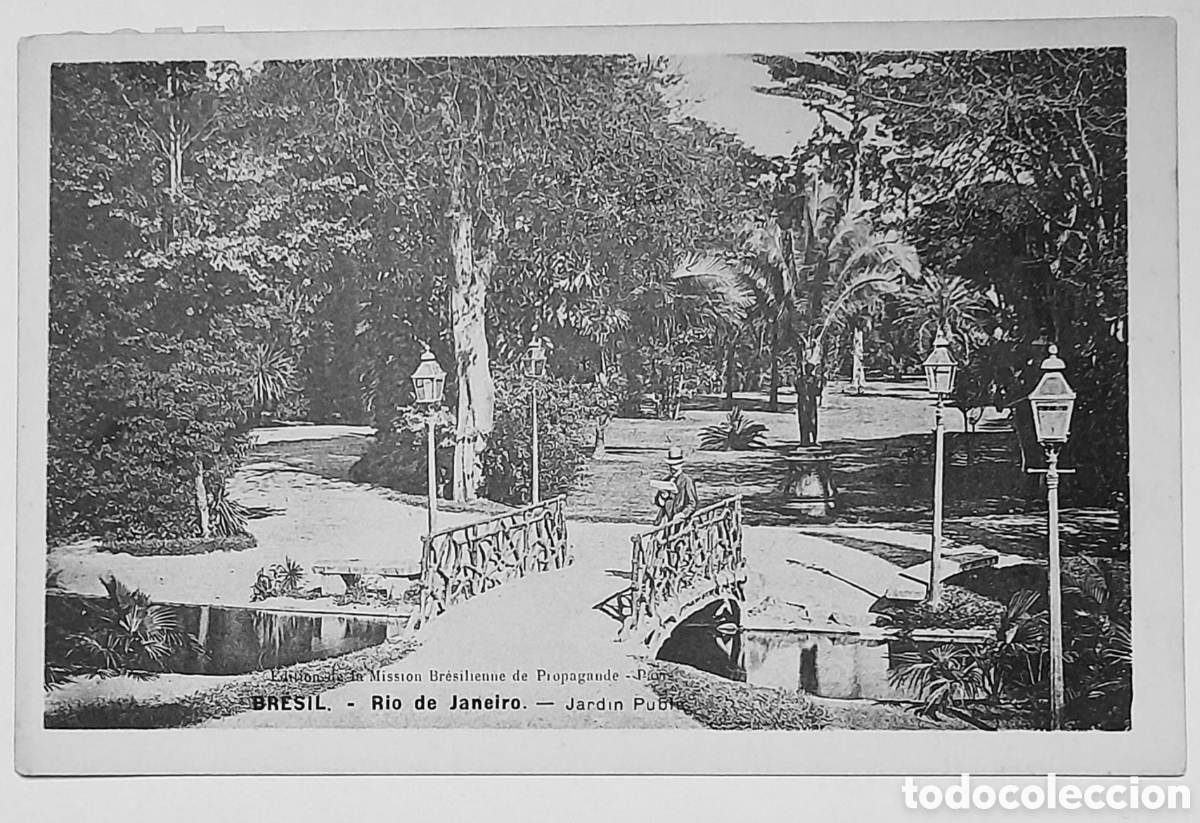 Postales: Postal de Brasil. BR&Eacute;SIL. - RIO DE JANEIRO. - Jard&iacute;n p&uacute;blic. No circulada