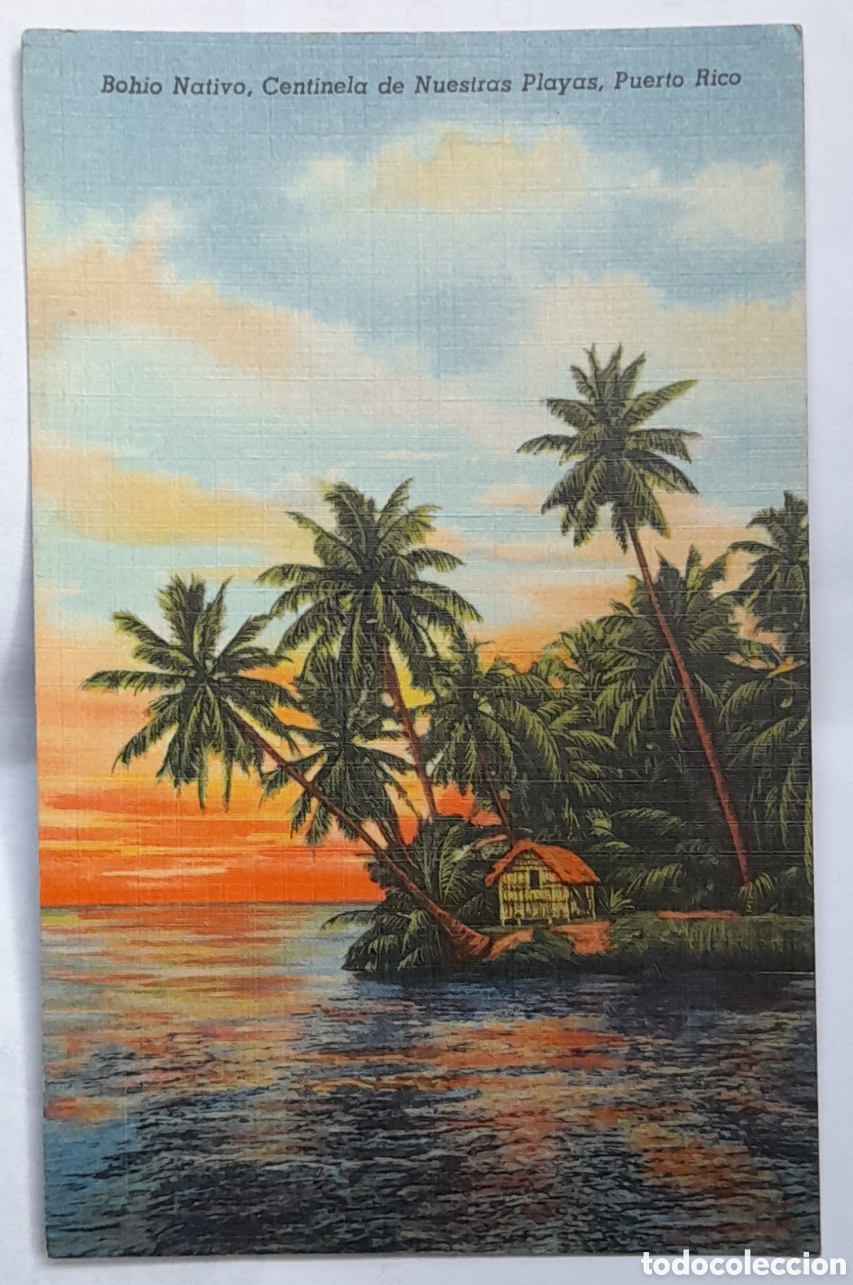 Postales: BOHIO NATIVO, CENTINELA DE NUESTRAS PLAYAS, PUERTO RICO. No circulada.