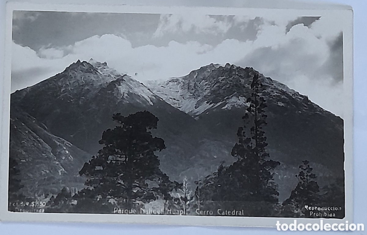 Postales: Postal Argentina. PARQUE NAHUEL HUAPI.