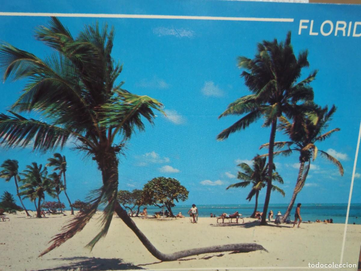 Cartoline: FLORIDA