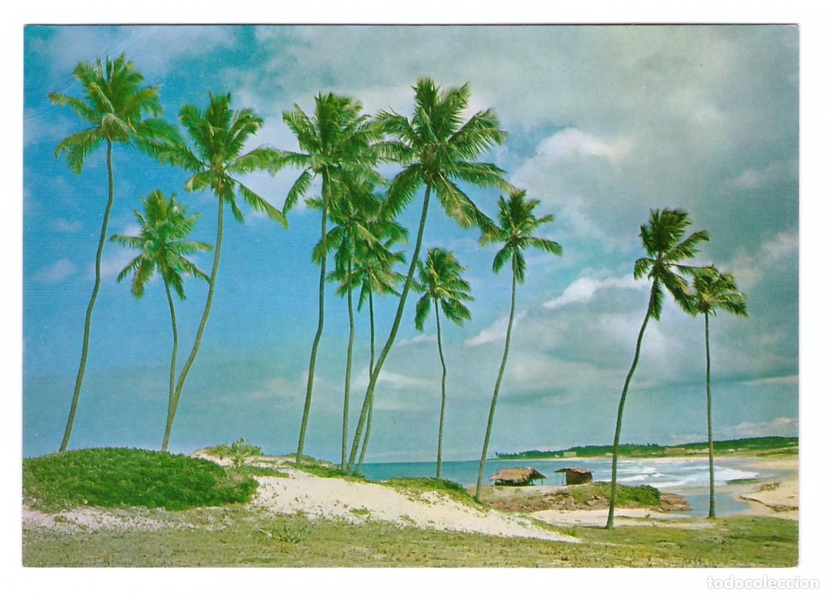 Postais: BRASIL TUR&Iacute;STICO / SALVADOR - BAH&Iacute;A / PRAIA DE ITAPOAN