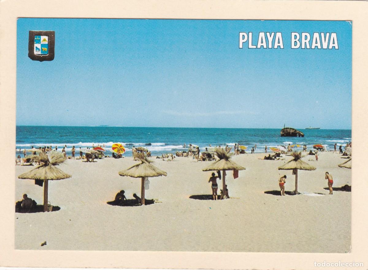 Postales: PUNTA DEL ESTE (URUGUAY). PLAYA BRAVA - ESCUDO DE ORO - Foto 1