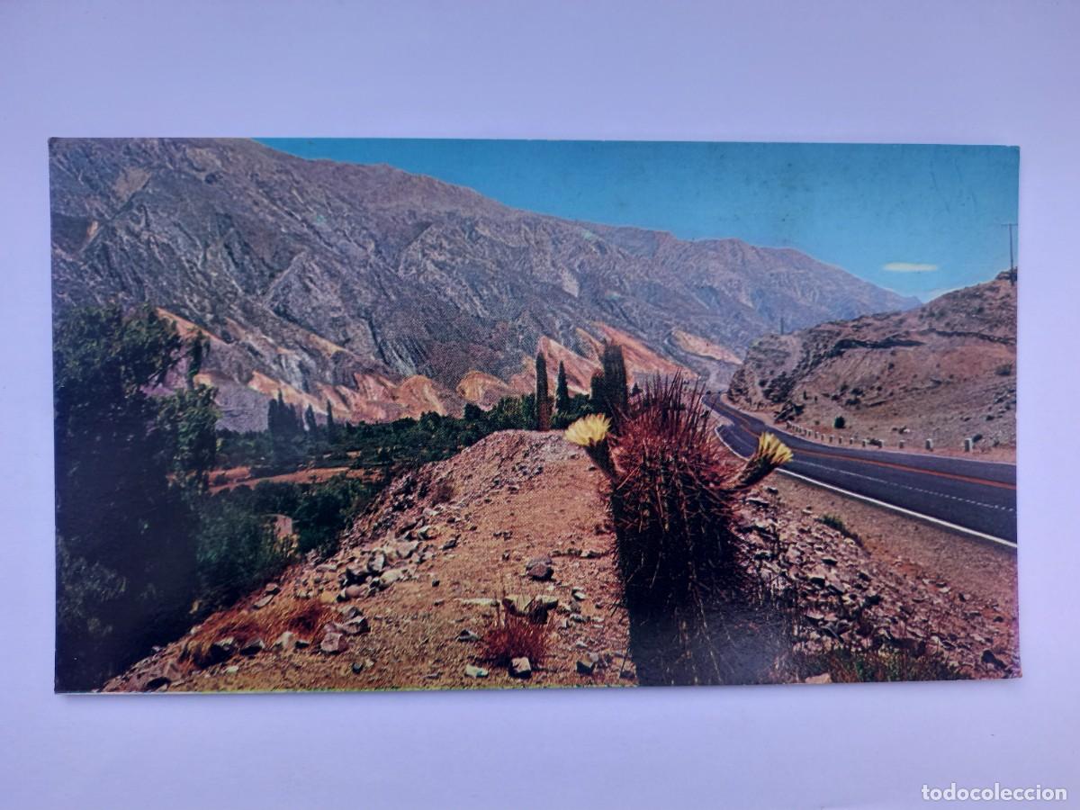 Postais: JUJUY MAIMARA FLOR DEL CARDON RUTA A HUMAHUACA, ARGENTINA