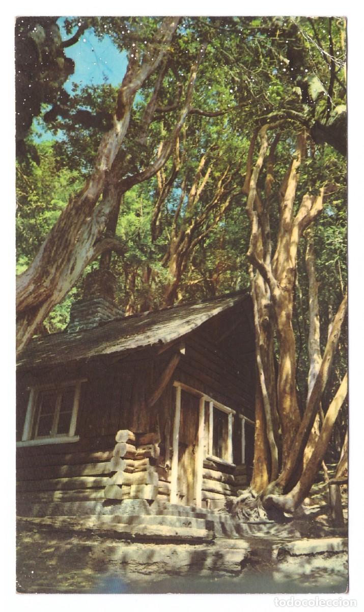 Postales: ARGENTINA &bull; BARILOCHE &bull; BOSQUE DE ARRAYANES - Foto 1