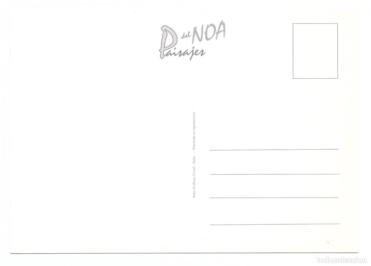 Postales: ARGENTINA &bull; SALTA &bull; LLAMA - Foto 2