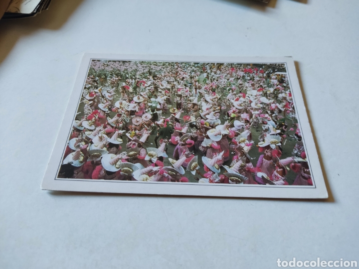 Cartes Postales: Postal Brasil carnaval