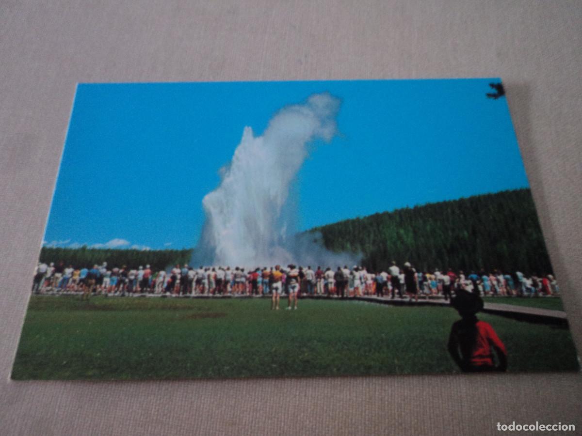 Postais: old faithful geyser, yellowstone park, wyoming, photo laura dexter
