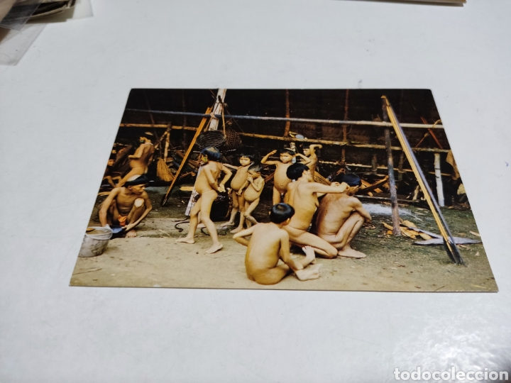 Postais: Postal Familia de indios Xama Tari,alto Orinoco