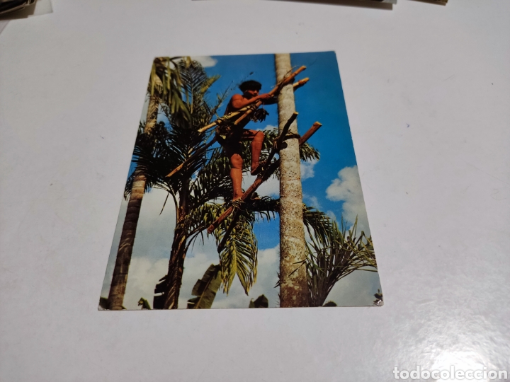 Postais: Postal indio Guaica, alto Orinoco Venezuela