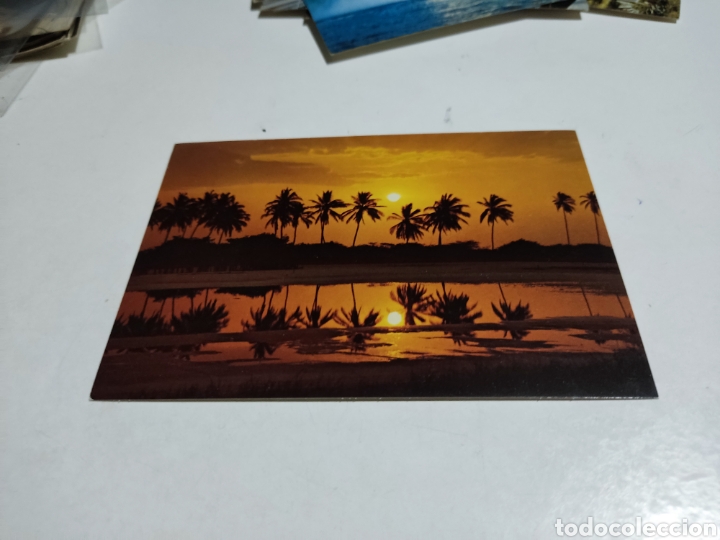 Postales: Postal puesta de sol en el Zulia - Foto 1