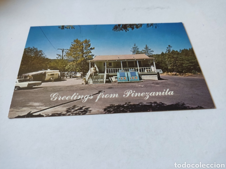 Postcards: Postal pinezanita trailer ranch & gift shop