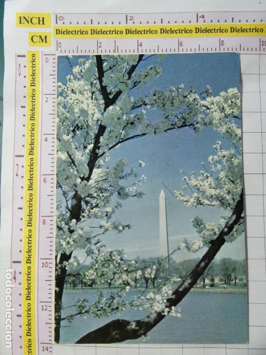 Cartoline: POSTAL DE ESTADOS UNIDOS USA EEUU, WASHINGTON DC WASHINGTON MONUMENT. 308