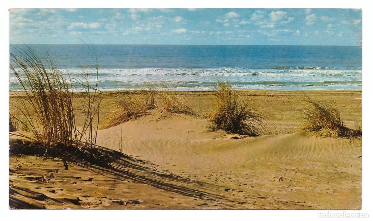Cartoline: ARGENTINA &bull; COSTA ATL&Aacute;NTICA &bull; PLAYA