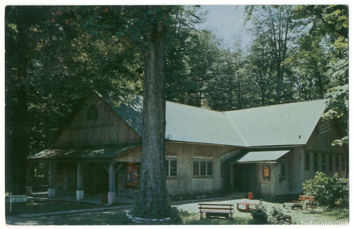 Cartoline: DORSET [Vermont]_Playhouse_Forward's Color