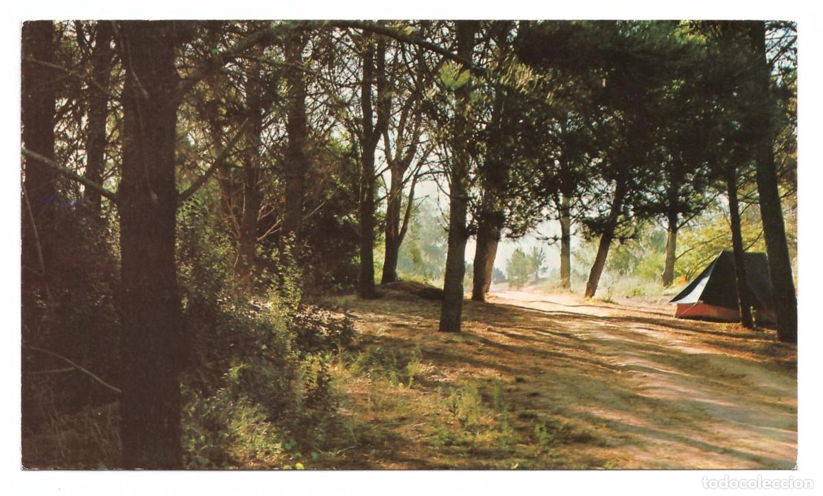 Cartoline: ARGENTINA &bull; VILLA GESELL &bull; EL PINAR