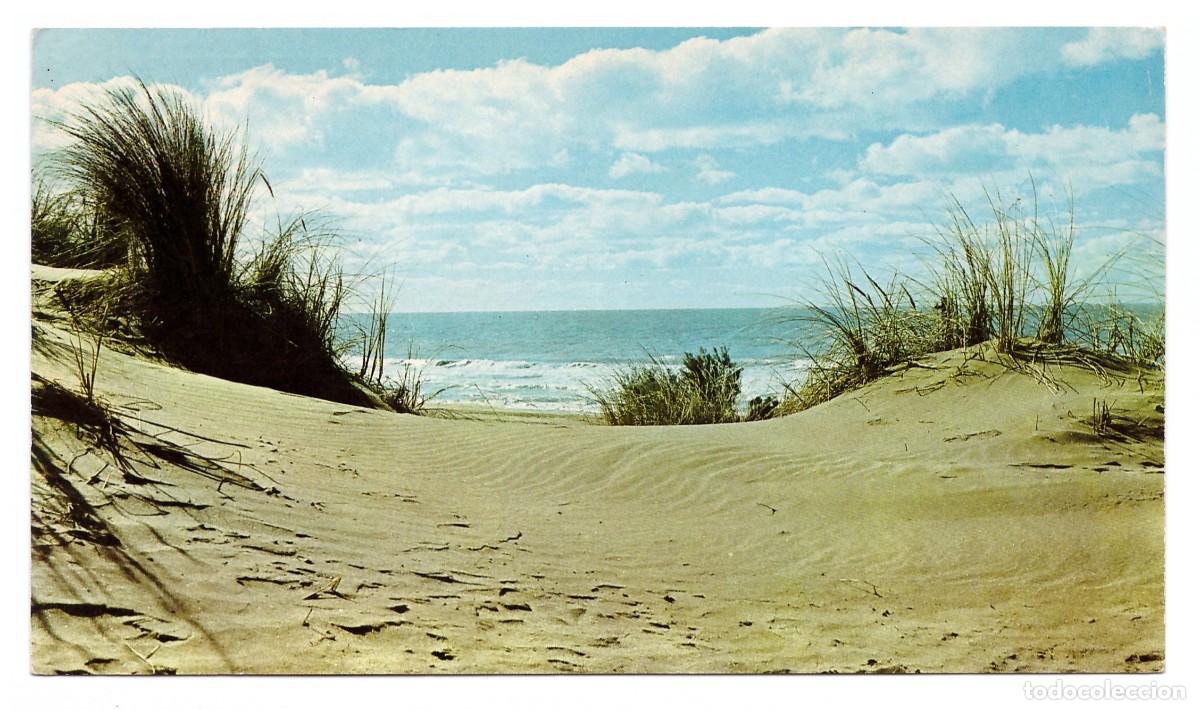 Postales: ARGENTINA &bull; VILLA GESELL &bull; PLAYA - Foto 1