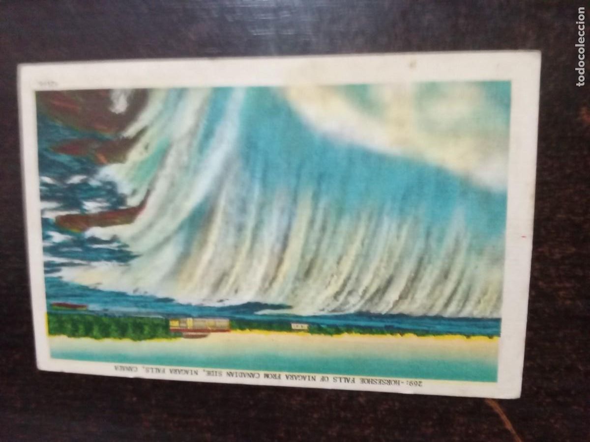 Cartoline: Horseshoe falls of Niagara.