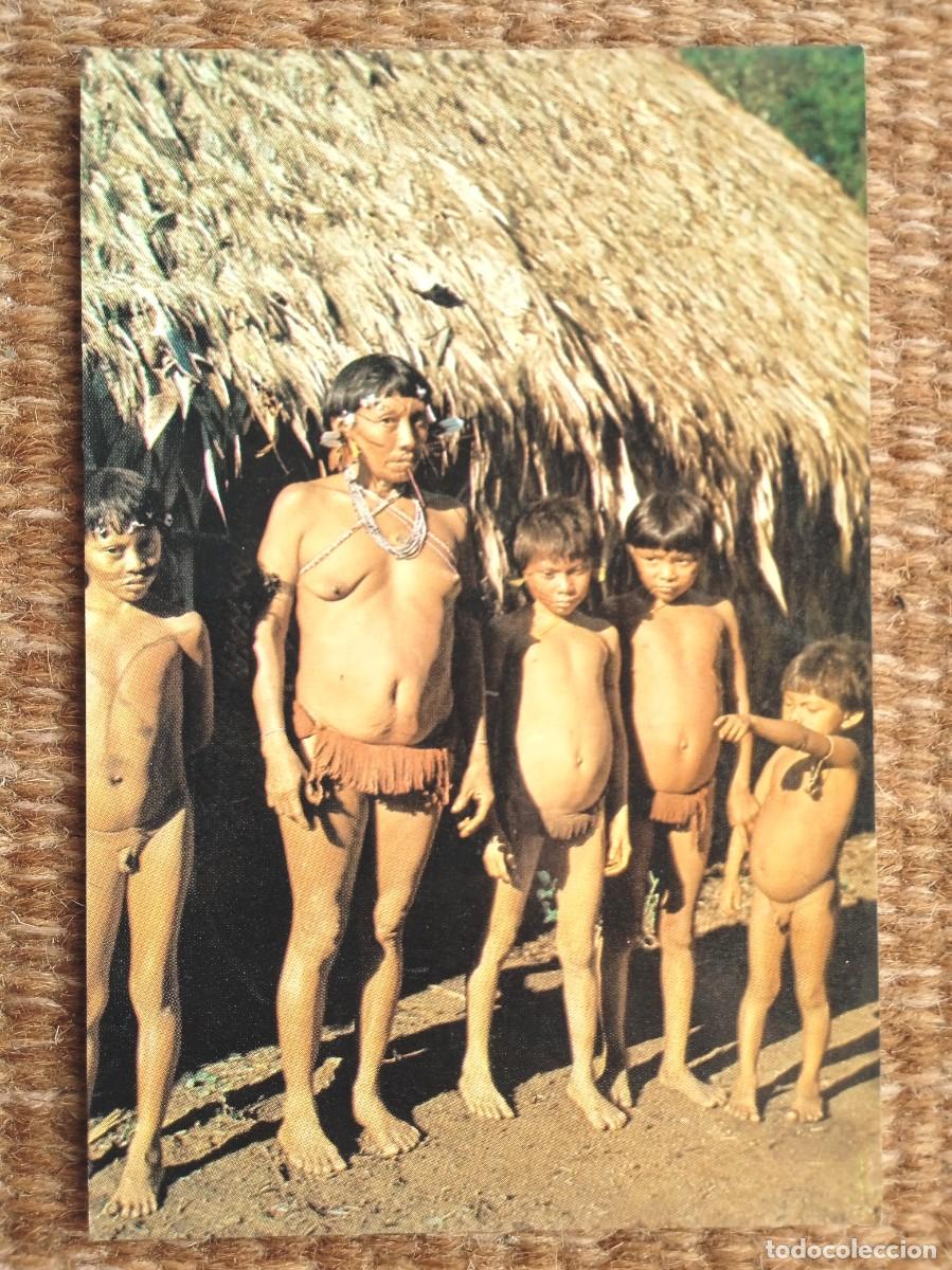 Postales: INDIOS DE BRASIL - TRIBU IANOMANI - RORAIMA - Foto 1