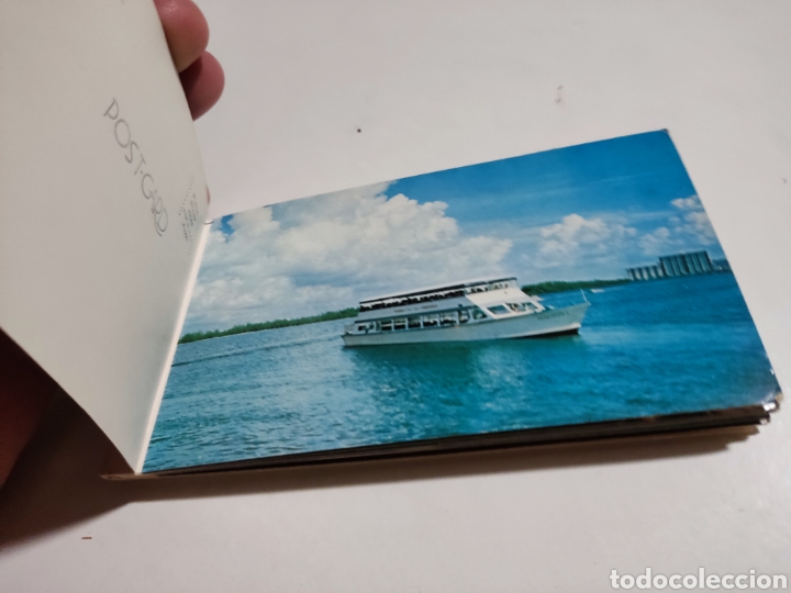 Postales: Postal Florida - Foto 2