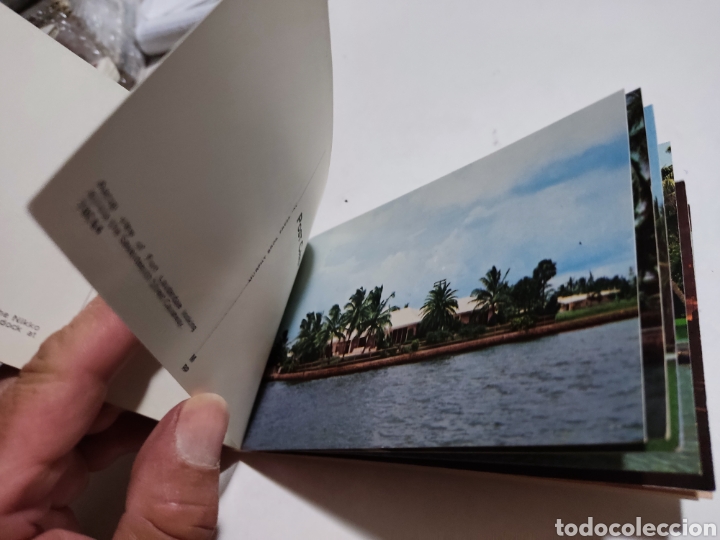 Postales: Postal Florida - Foto 4