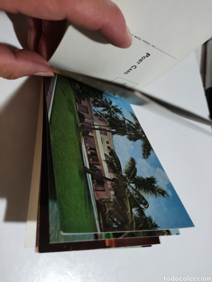 Postales: Postal Florida - Foto 6