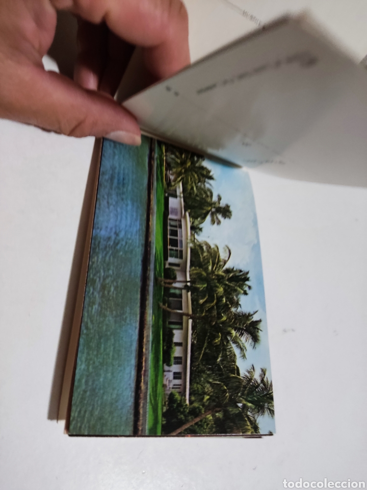 Postales: Postal Florida - Foto 7