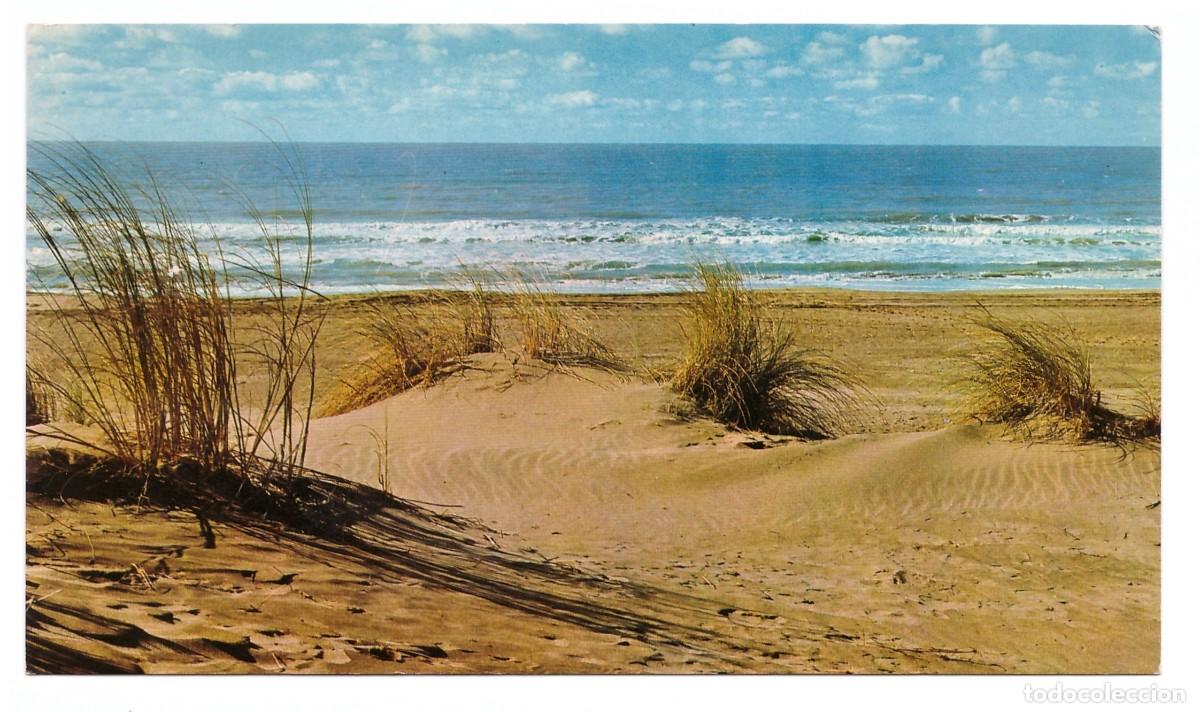 Cartoline: ARGENTINA &bull; COSTA ATL&Aacute;NTICA &bull; PLAYA